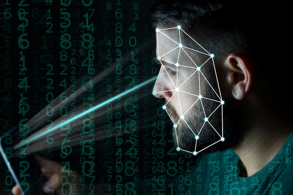 Biometric systems help ensure the security of financial transactions, healthcare access, and government facilities by verifying personal identities.